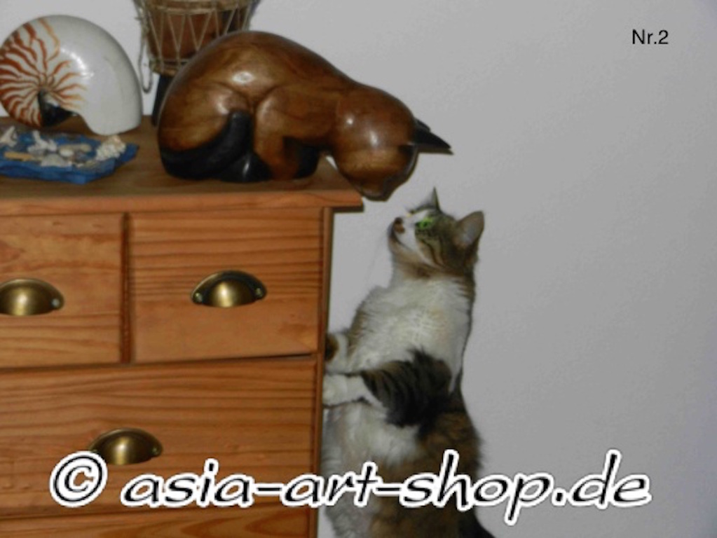 wooden cat