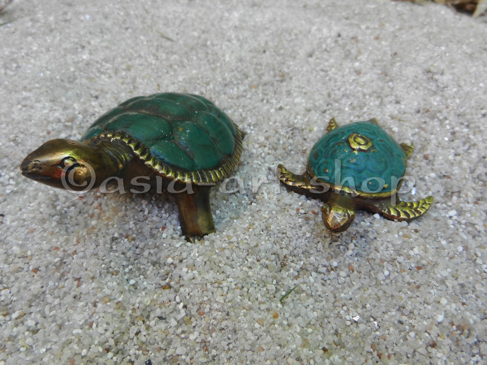 bronze turtles