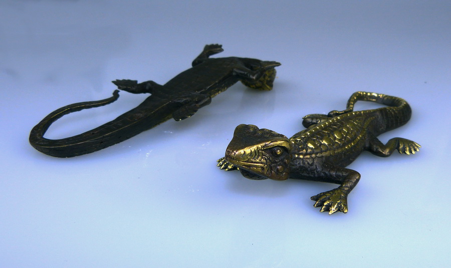 Bronze lizard