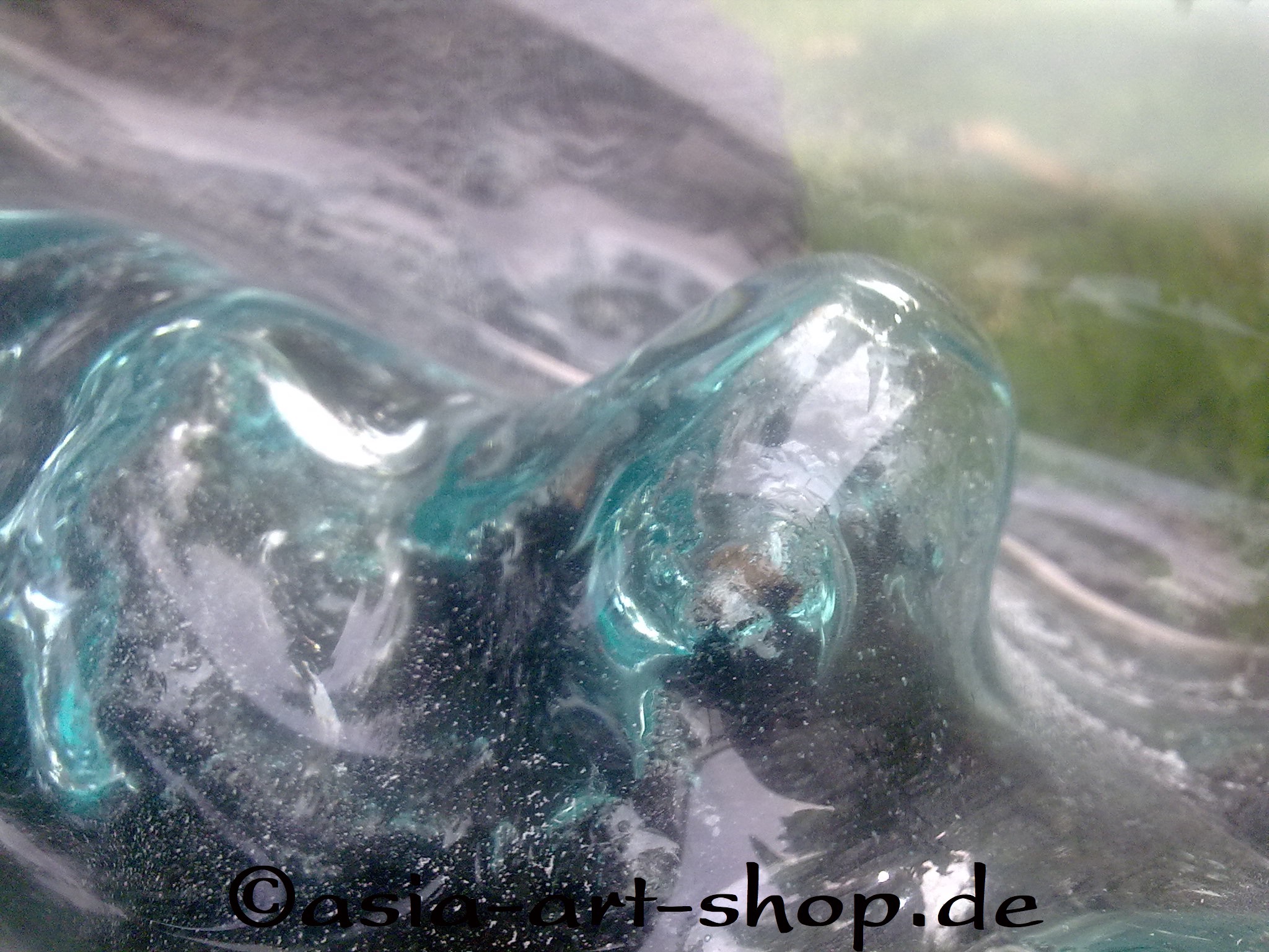 tempvaseaufwurzeldetail_403_6