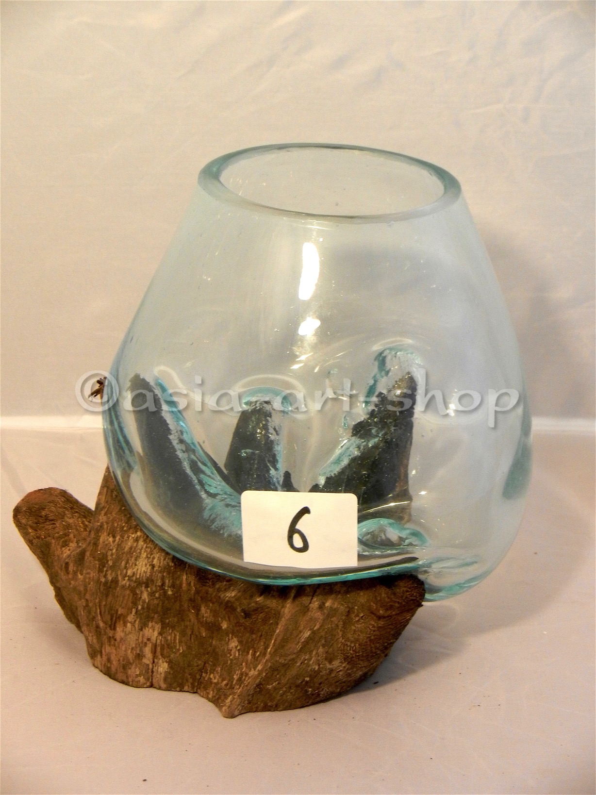 Vase-auf-Wurzel-6