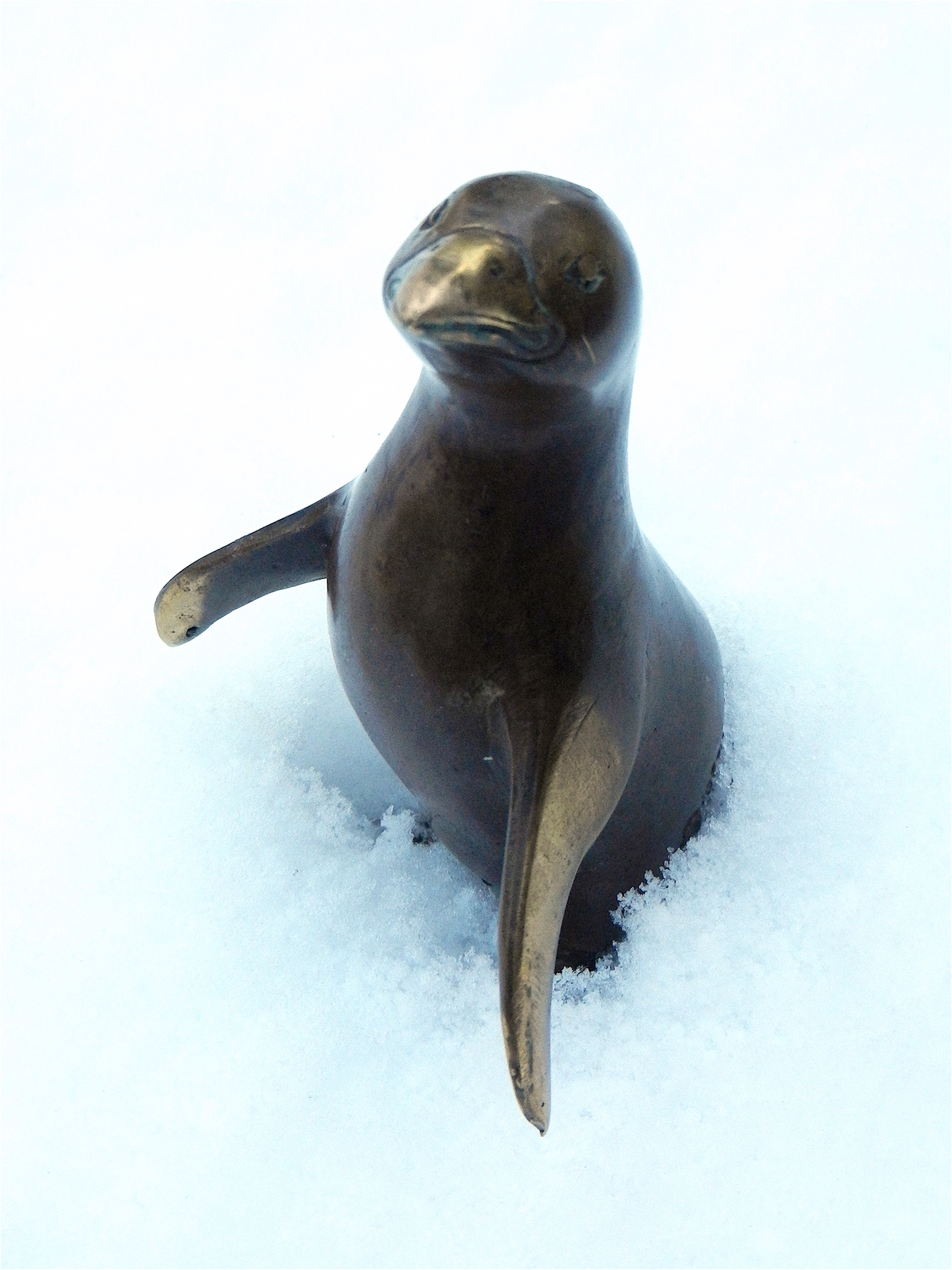 Pinguin