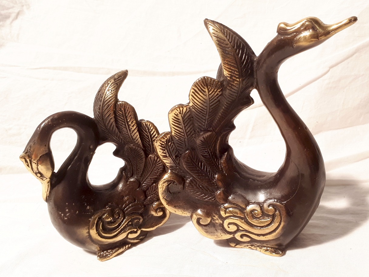 pair of swans brown golden