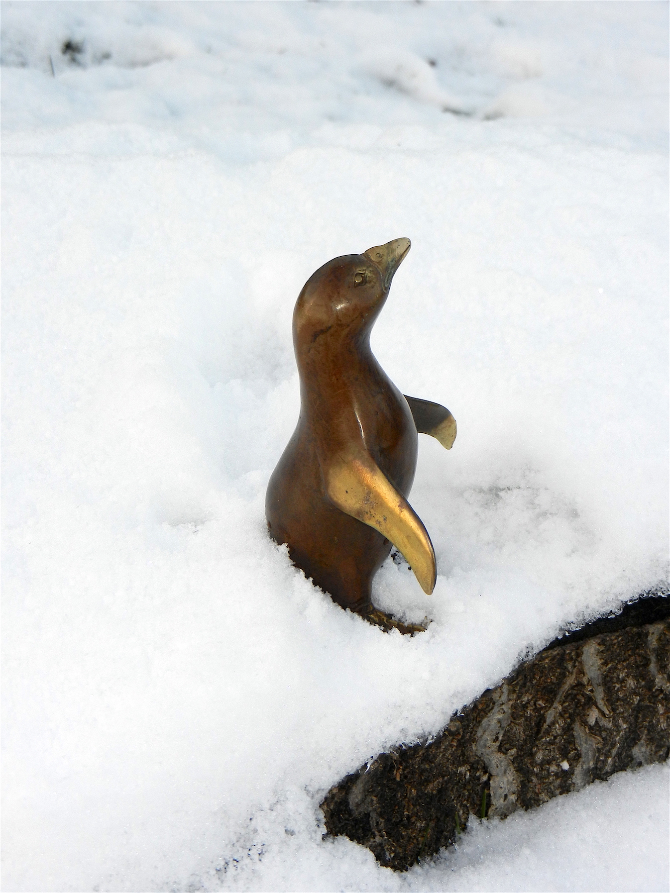 Pinguin