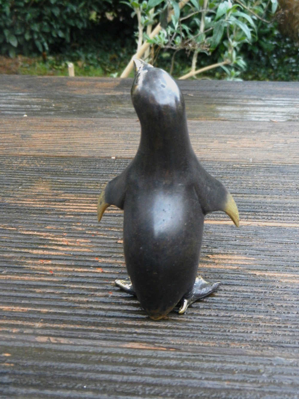 Pinguin