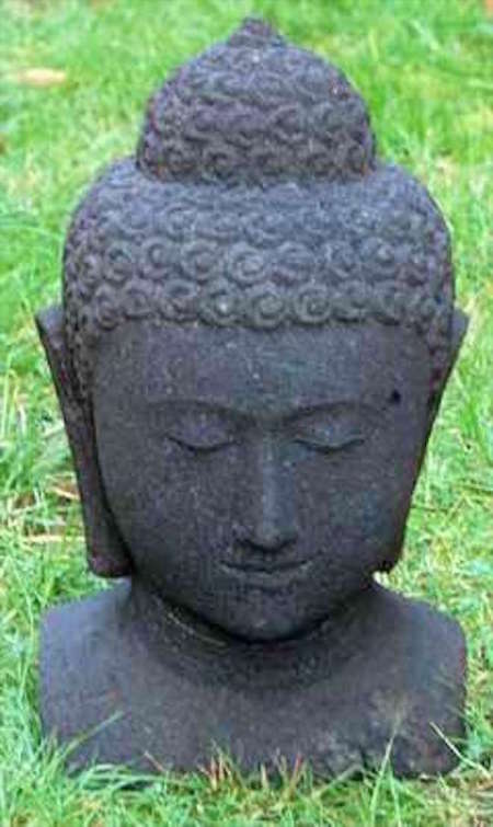 tempkleiner-buddhakopf-nass