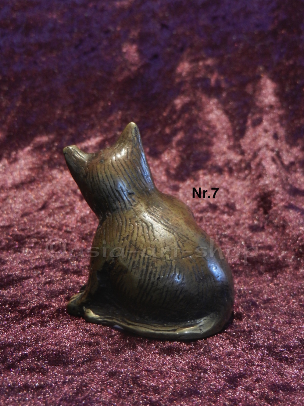 tempkleine_katze_nr7