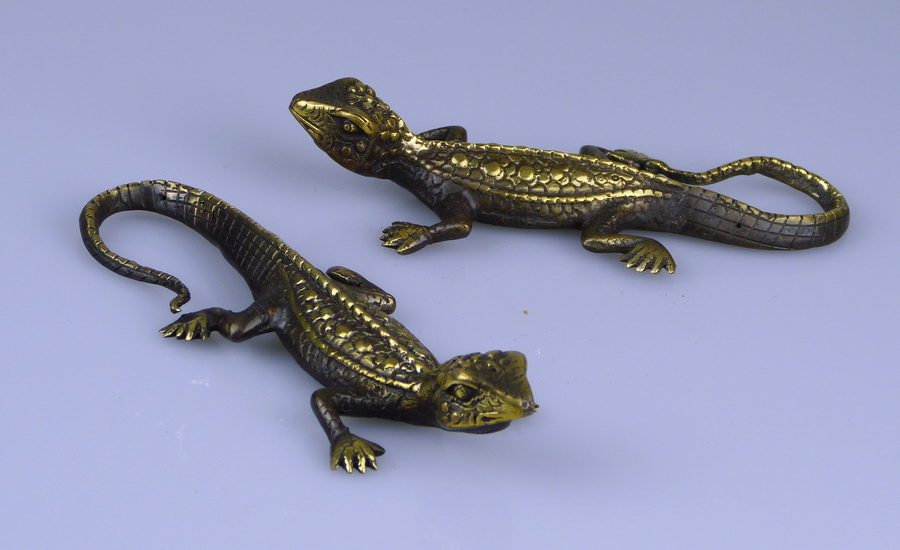 Bronze lizard