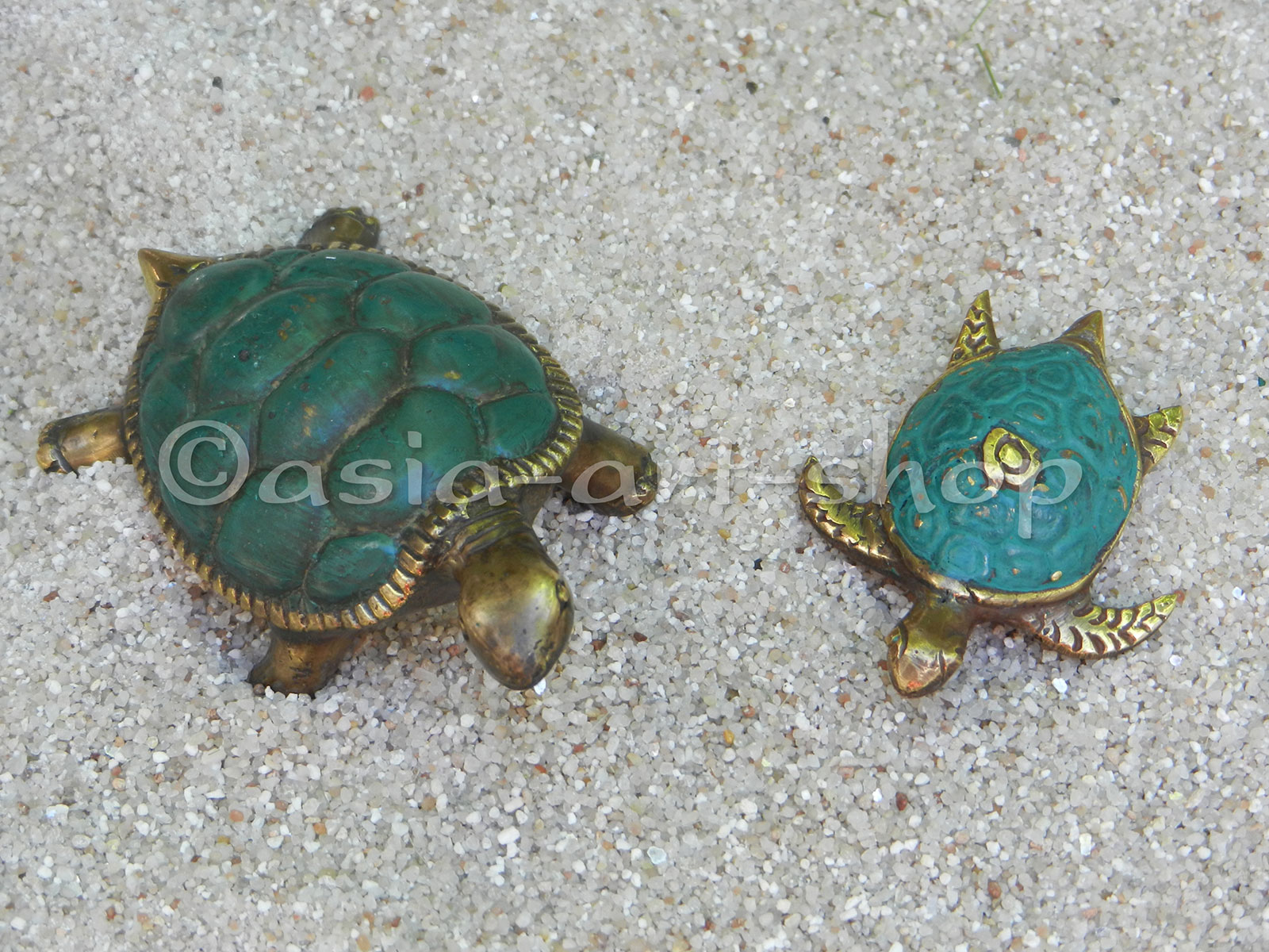 tempbronzeschildkroete